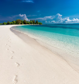South Coast Sea Beach