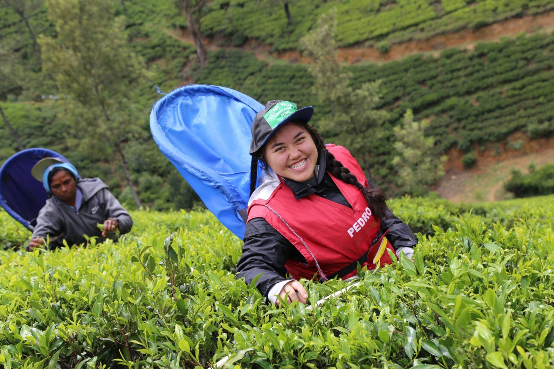 Tea Gardens & scenic drives